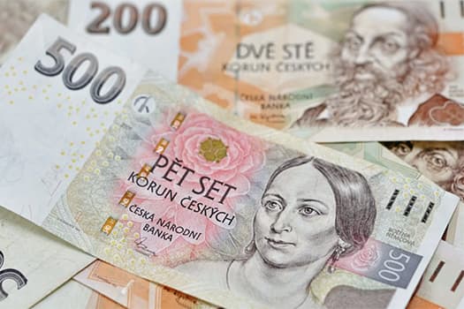 денежная единица Чехии;yandex.ru